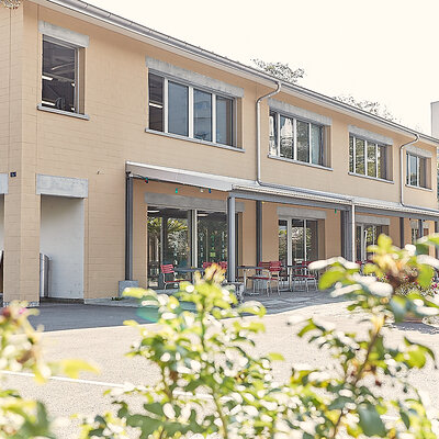 Domino Standort Mikado