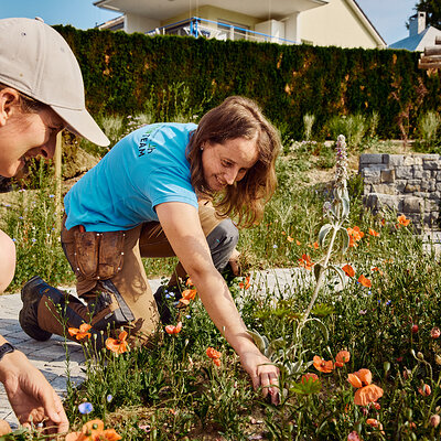 Stiftung Lebenshilfe Gartenbau