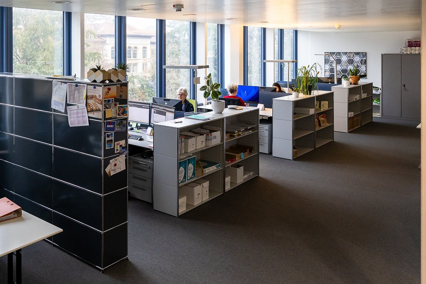 Verwaltungsratsassistent:in gesucht